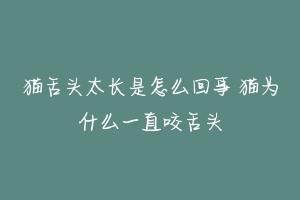 猫舌头太长是怎么回事 猫为什么一直咬舌头