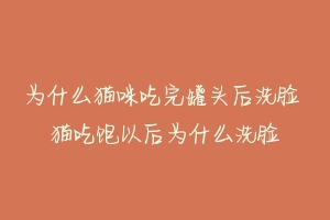 为什么猫咪吃完罐头后洗脸 猫吃饱以后为什么洗脸