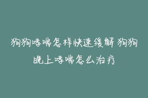 狗狗哮喘怎样快速缓解 狗狗晚上哮喘怎么治疗