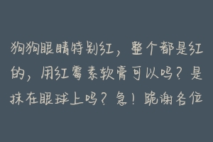 狗狗眼睛特别红,整个都是红的,用红霉素软膏可以吗?是抹在眼球上吗?急!跪谢各位大神 狗眼里发红怎么治疗