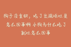 狗子没食欲,吃了出现呕吐是怎么回事啊 小狗为什么吃了就吐怎么回事
