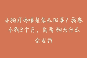 小狗打哆嗦是怎么回事?我家小狗3个月,前两 狗为什么会发抖