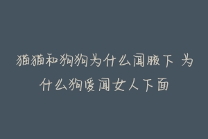 猫猫和狗狗为什么闻腋下 为什么狗爱闻女人下面