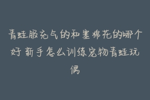青蛙服充气的和塞棉花的哪个好 新手怎么训练宠物青蛙玩偶
