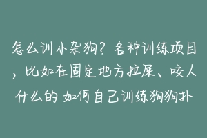 怎么训小杂狗?各种训练项目,比如在固定地方拉屎、咬人什么的 如何自己训练狗狗扑咬