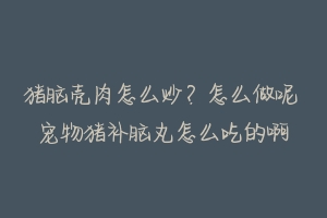 猪脑壳肉怎么炒?怎么做呢 宠物猪补脑丸怎么吃的啊