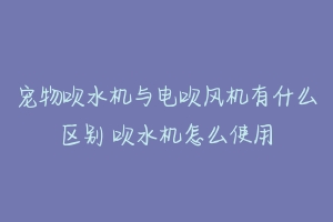 宠物吹水机与电吹风机有什么区别 吹水机怎么使用