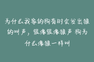 为什么我家的狗有时会发出狼的叫声,很像很像狼声 狗为什么像狼一样叫