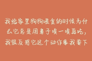 我给家里狗狗喂食的时候为什么它总是用鼻子嗅一嗅再吃,我很反感它这个动作象我要下毒害它样的 为什么狗狗一直擦鼻子