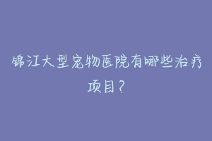 锦江大型宠物医院有哪些治疗项目?