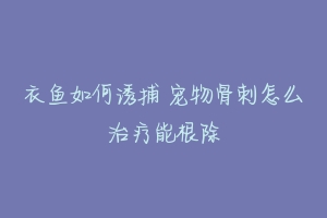 衣鱼如何诱捕 宠物骨刺怎么治疗能根除