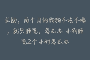 求助，两个月的狗狗不吃不喝，就只睡觉，怎么办 小狗睡觉2个小时怎么办