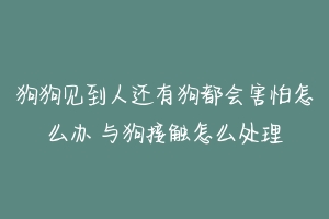 狗狗见到人还有狗都会害怕怎么办 与狗接触怎么处理
