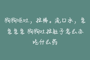 狗狗呕吐,拉稀。流口水,急急急急 狗狗吐拉肚子怎么办吃什么药