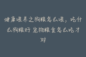 健康喂养之狗粮怎么喂,吃什么狗粮好 宠物粮食怎么吃才对
