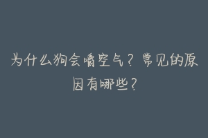 为什么狗会嚼空气?常见的原因有哪些?