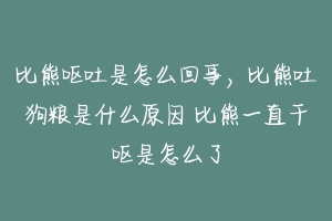 比熊呕吐是怎么回事,比熊吐狗粮是什么原因 比熊一直干呕是怎么了