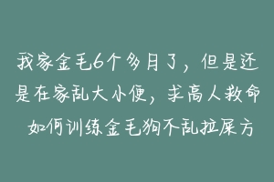 我家金毛6个多月了,但是还是在家乱大小便,求高人救命 如何训练金毛狗不乱拉屎方法