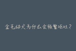 金毛幼犬为什么会频繁呕吐?