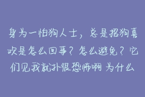 身为一怕狗人士,总是招狗喜欢是怎么回事?怎么避免?它们见我就扑很恐怖啊 为什么狗喜欢人