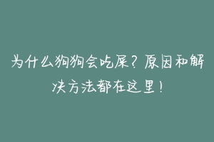 为什么狗狗会吃屎?原因和解决方法都在这里!