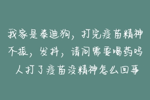 我家是泰迪狗,打完疫苗精神不振,发抖,请问需要喝药吗 人打了疫苗没精神怎么回事