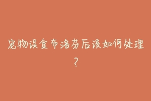 宠物误食布洛芬后该如何处理?