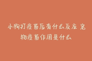 小狗打疫苗后有什么反应 宠物疫苗作用是什么