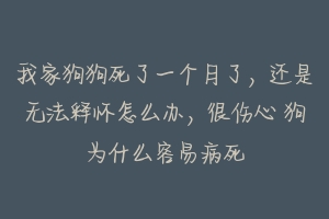 我家狗狗死了一个月了,还是无法释怀怎么办,很伤心 狗为什么容易病死