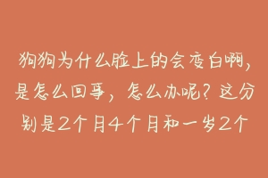 狗狗为什么脸上的会变白啊,是怎么回事,怎么办呢?这分别是2个月4个月和一岁2个月,麻烦专业人士解 狗狗指甲变白怎么回事啊