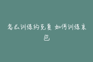 怎么训练约克夏 如何训练京巴