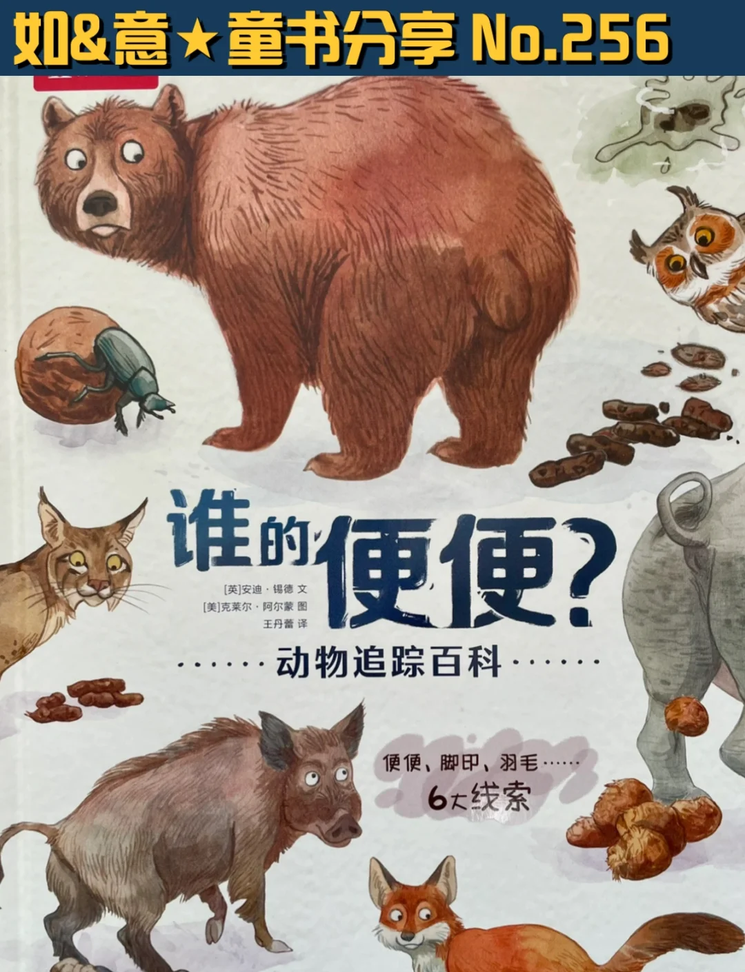 自然的奇观:动物王国中令人惊叹的“排便智慧”